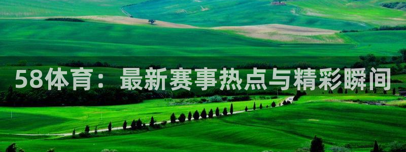 球友会直播：58体育：最新赛事热点与精彩瞬间