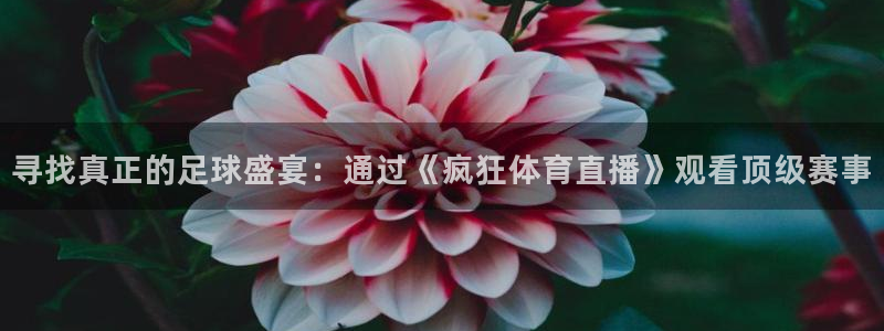 球友体育直播在线观看：寻找真正的足球盛宴：通过《疯狂体育直播》观看顶级赛事